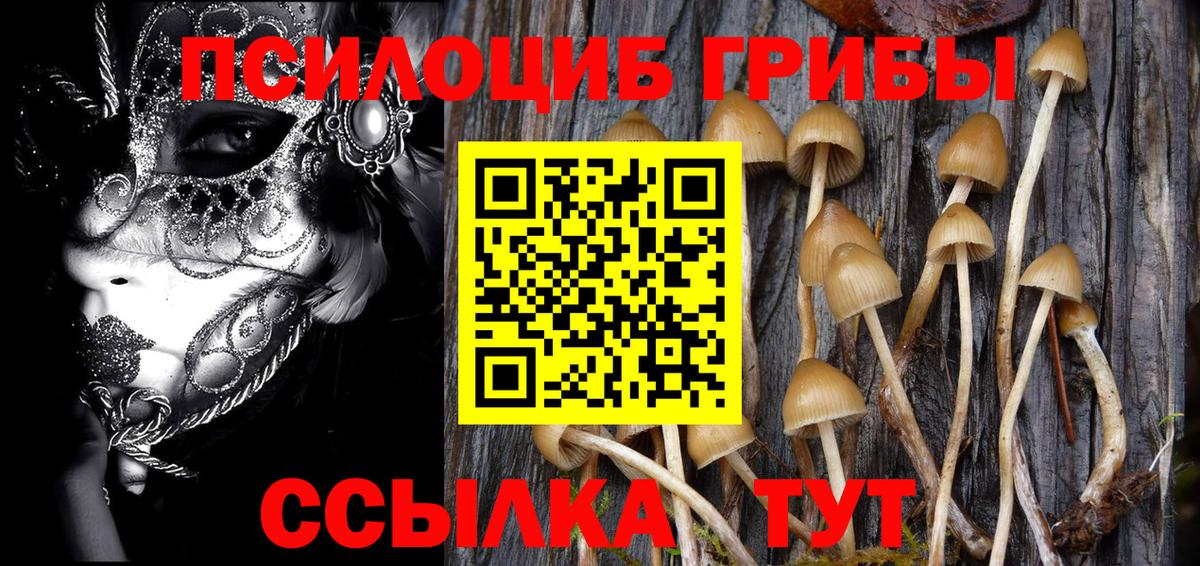 Псилоцибиновые грибы GOLDEN TEACHER Абинск