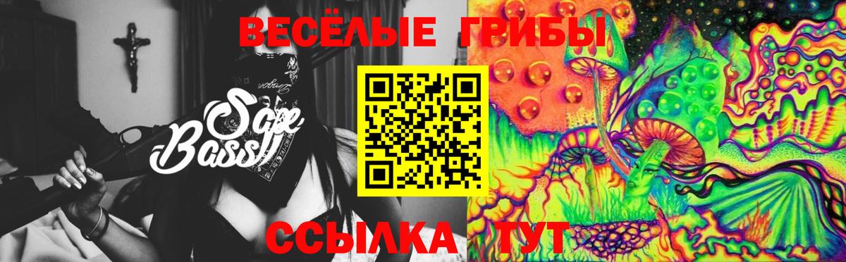 наркота  Галлюциногенные грибы MAGIC MUSHROOMS  Вход с VPN  Абинск 
